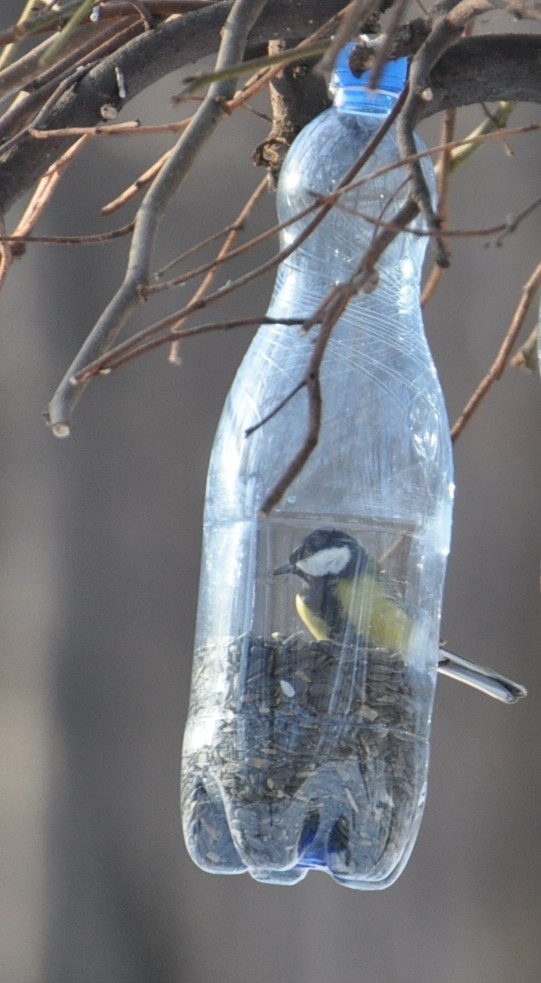 Obiecana sikorka w butelce :)