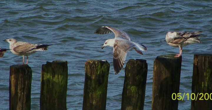 Gdzie są te ryby??!!