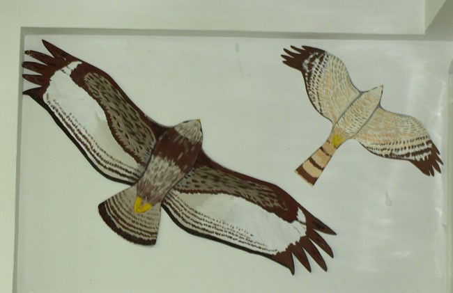 Zrobiłam do mojej klasy ...