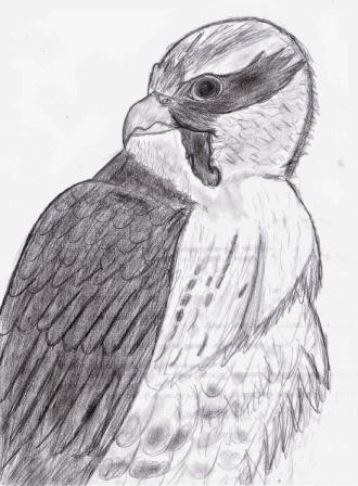 A portret na koniec :)