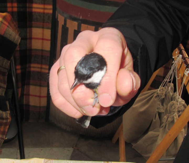 Akcja Karmnik 04.12.2012 ...