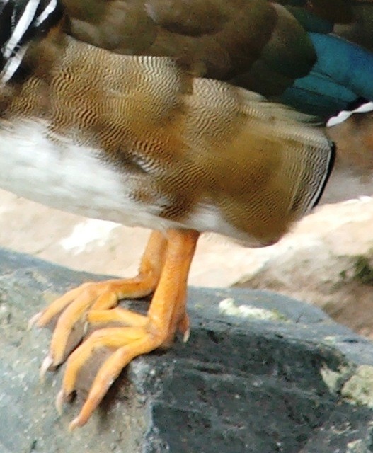 ZAczyna się na M??kto??