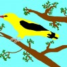 wilga