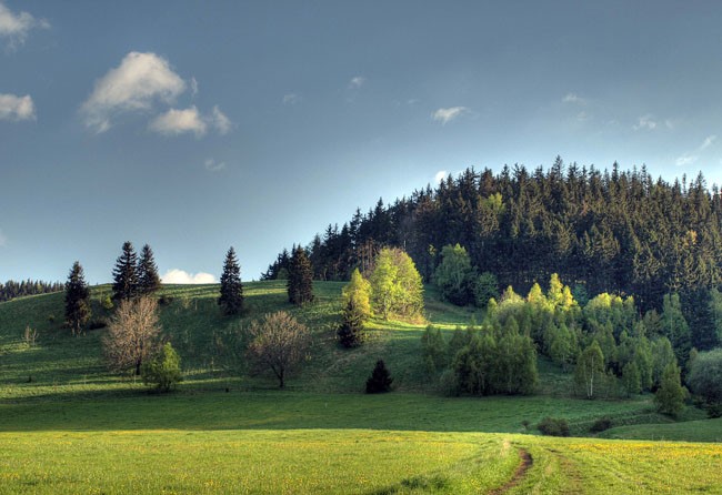 fotografia to światło