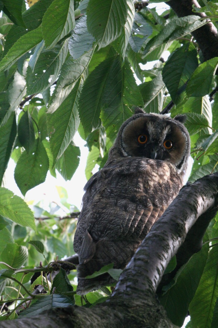 Miłych wakacji życzy ...