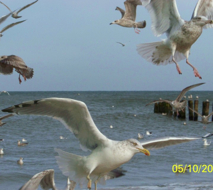 Fajnie jest miec rodzinę!!!!