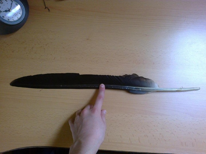 Proszę o pomoc. Pióro ...