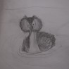 Perkoz ...