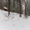 Zima w ...
