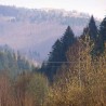 Widoczek ...