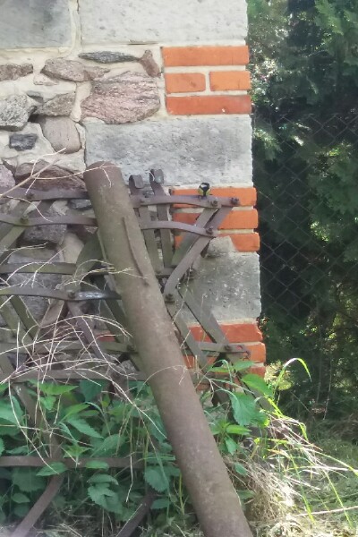 Samczyk podlatujący do ...