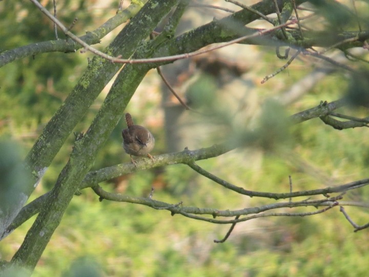 ...i w bardziej wiosennym ...