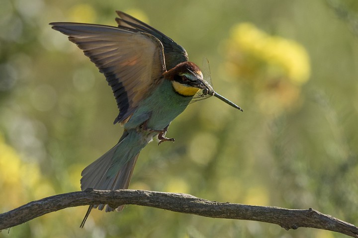 Na wspomnienie cieplejszych dni