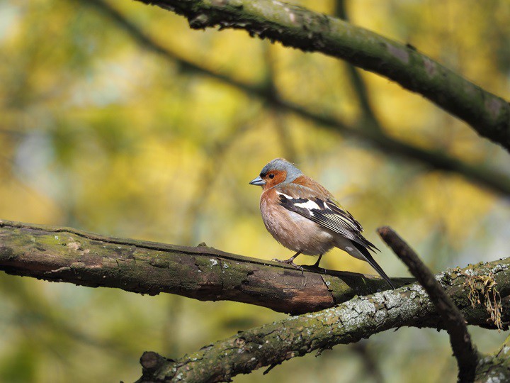 Z parku Kasprowicza. :)