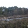 Przyroda ...
