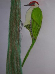 Więcej