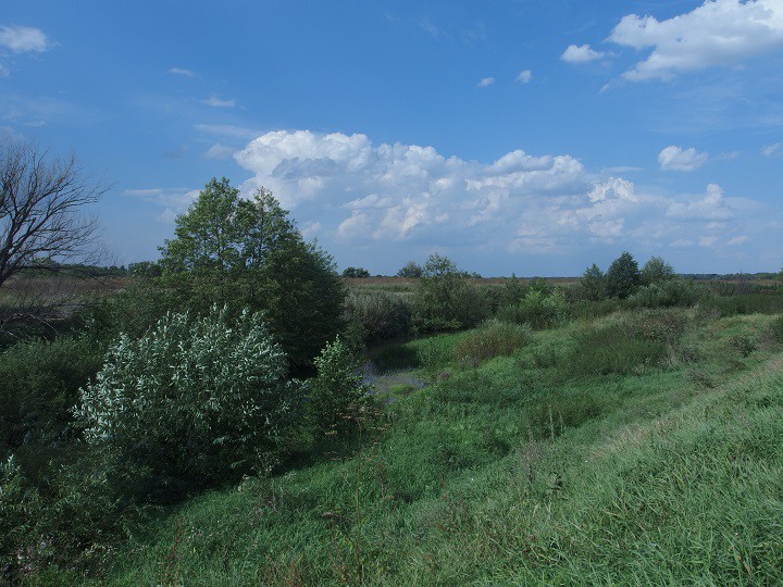 Большой Ломовис (wym. ...