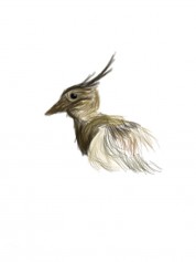 Więcej