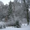 Mazury - ...