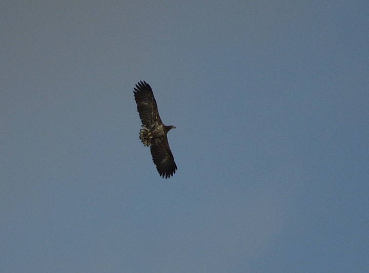 Kolejne ćwiczenie w oznaczaniu