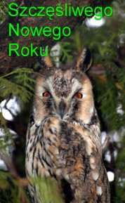 Więcej