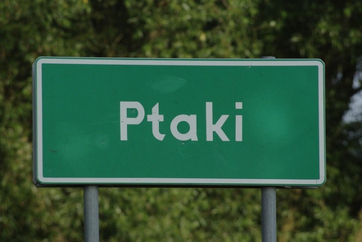 Jest taka wieś nad Pisą