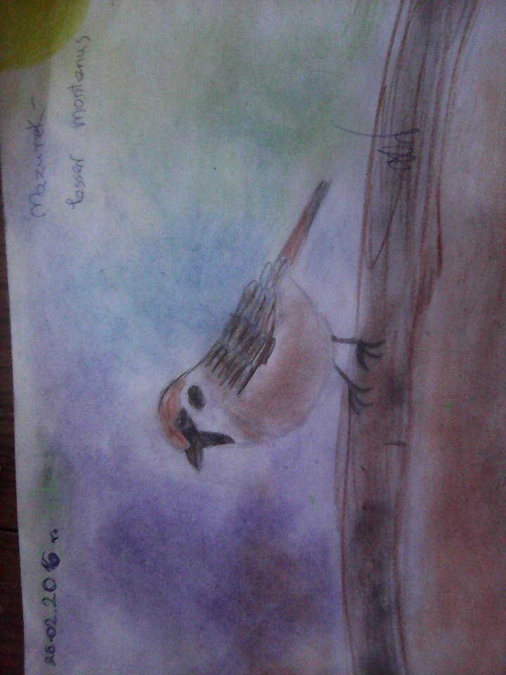 Mazurek:)