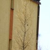 Zagadka