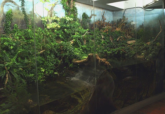 z Muzeum w Vrchlabi