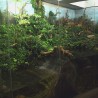 z Muzeum ...