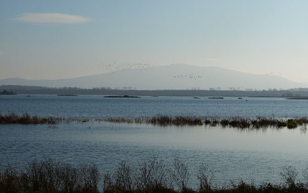 Ostoja ptaków-Natura ...