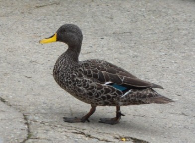 W poszukiwaniu cywilizacji :)