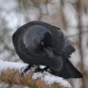 Zaciekawiona