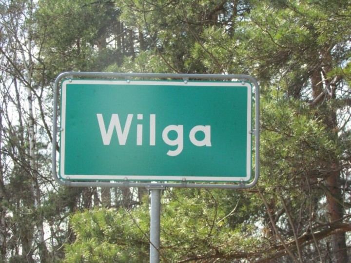 Wilga