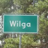 Wilga