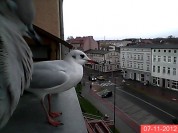 Więcej