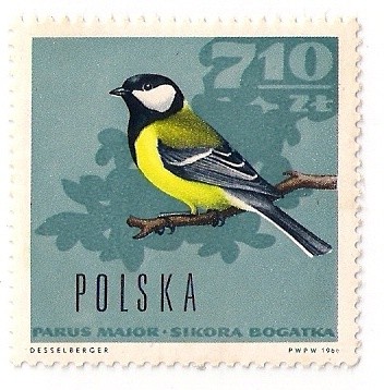 Ptasia kolekcja cd.