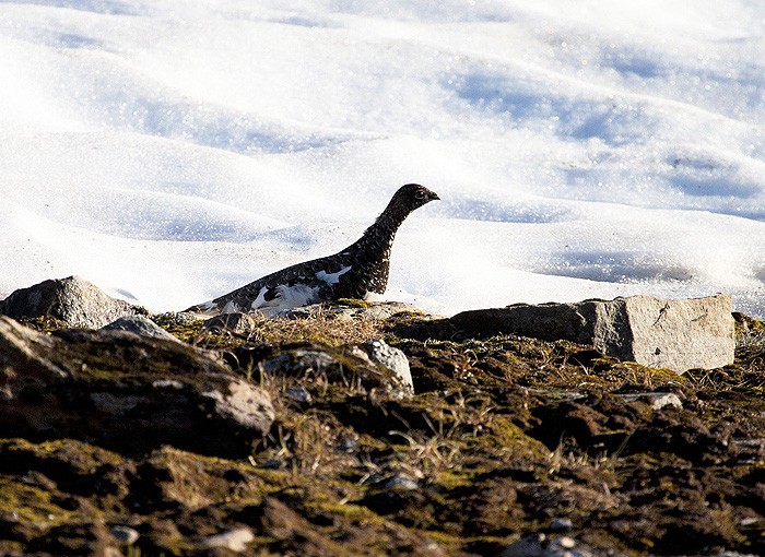 Myślała, że jej nie widzę;)