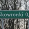 Skowronk ...