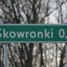Skowronk ...
