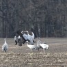 było ...
