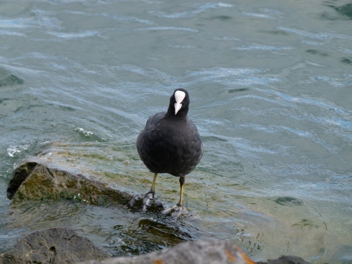 Ktoś wylał mi farbę na ...