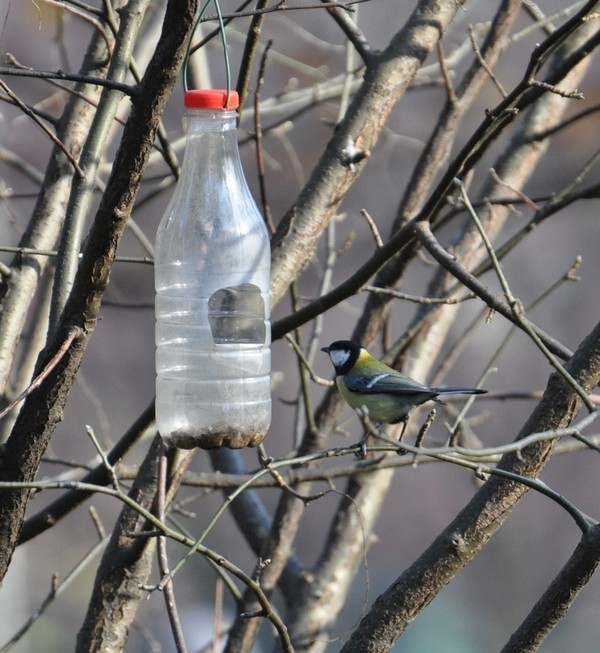 Wejść czy nie wejść? ...