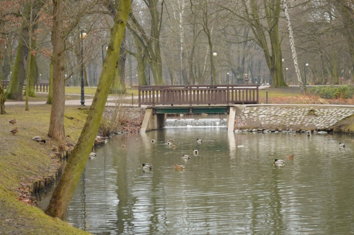 Ostatnie dni ferii 4