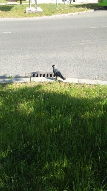 Byłem w mieście i zrobiłem ...