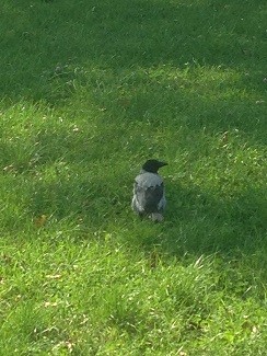 co do mnie mówisz ? :)