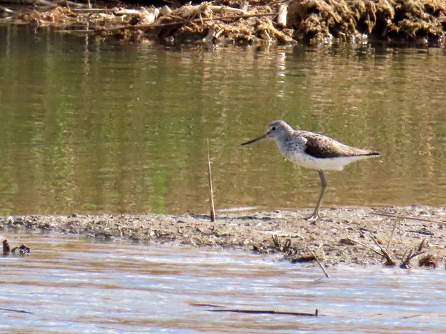 Kto pomoże oznaczyć?