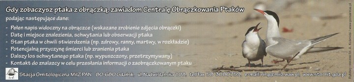 zaczyna się sezon na ...