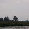 Czaple ...