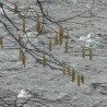 pierwsze ...